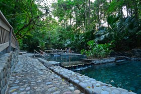 A paradise in the rain forest
